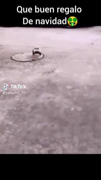 Terreneitor