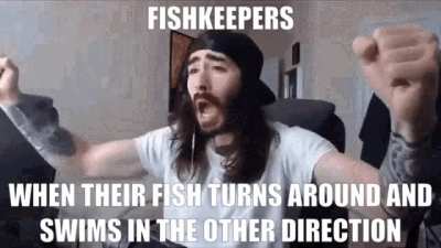 I'm a fishkeeper, this is me 🐠