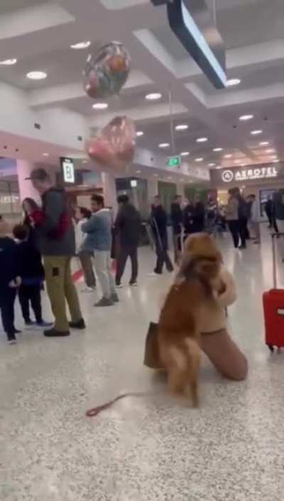 Yay your are not dead - dog probably
