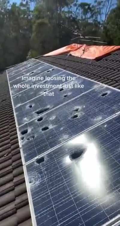 The amount of money he spent on that...