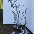 Transforming Deer