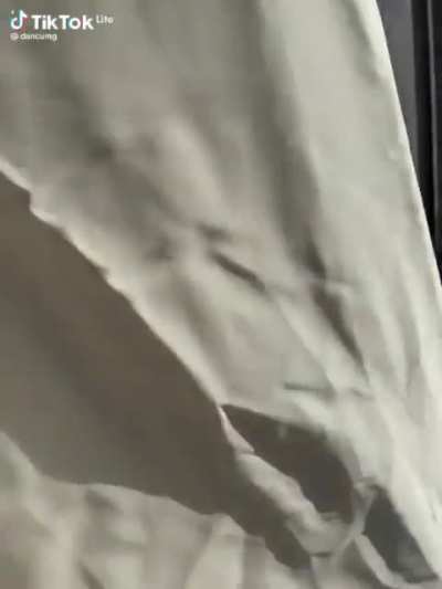Fofo