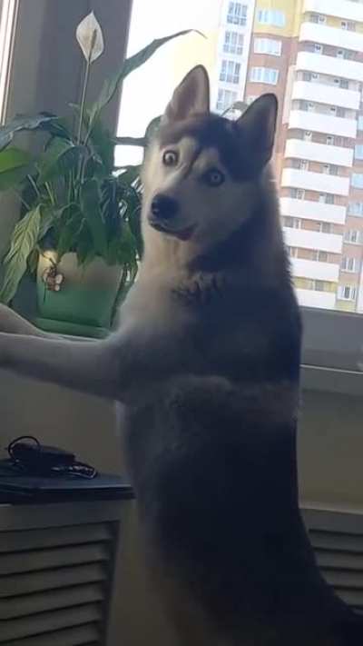 o_O