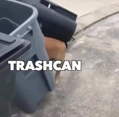 Not on my cul-de-sac!