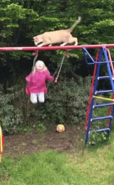The cat knew she fucked up