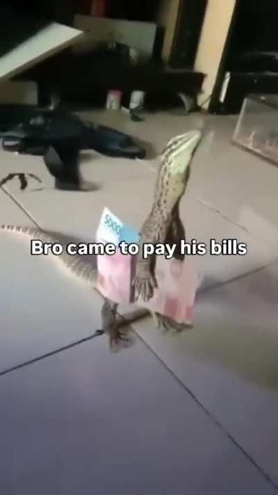 Rule