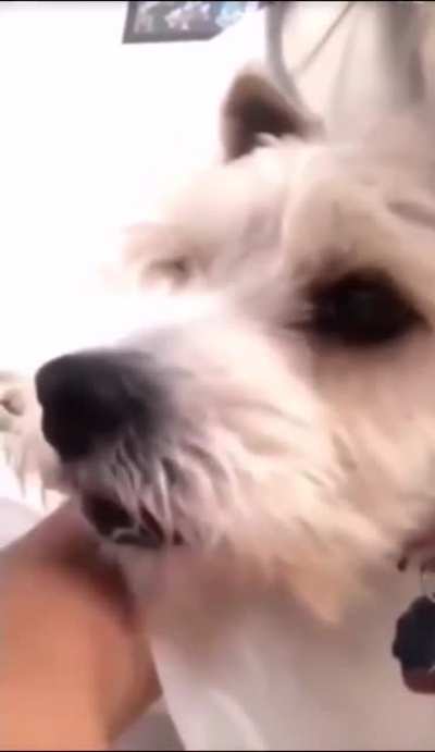 🤨