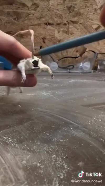 That’s a unique pencil sharpener..