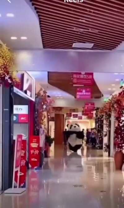 Teddy VS Panda