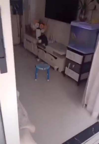 Napim Karganın kumbarası varsa