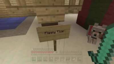 Flippy Flop