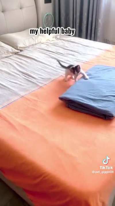 I halp