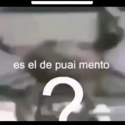 SELFIRI FASENDO PAAA!!!