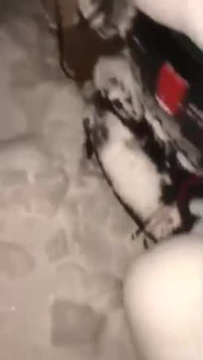 Нужно что то делать…