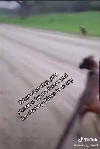 Wow what an ass
