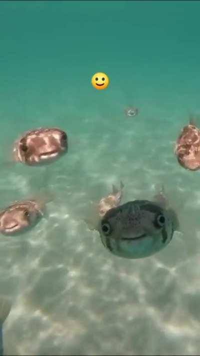 🙂