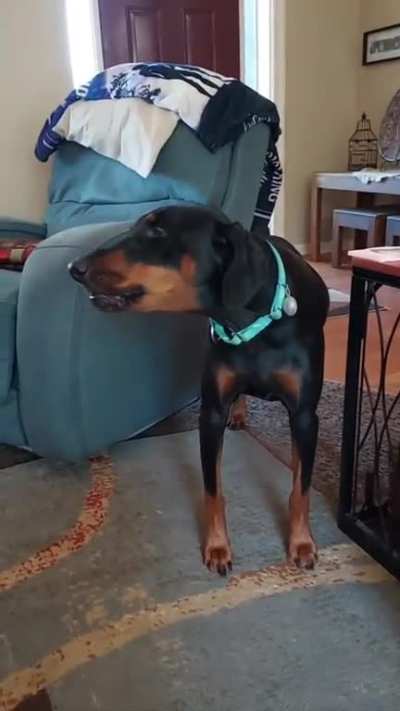 Harumph!