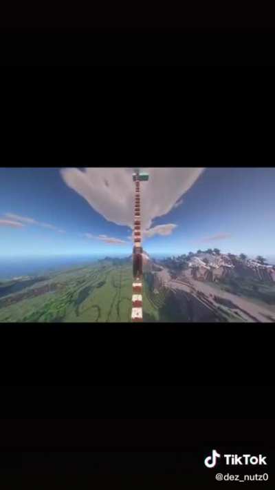 Horse ladder