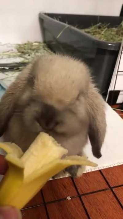 Snick Snack!