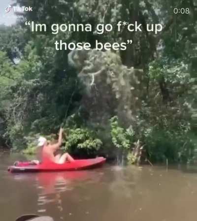 I'm gonna go F*ck up those bees
