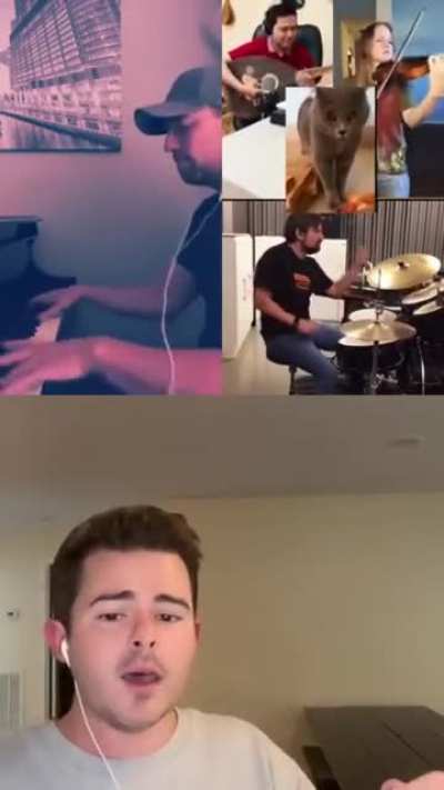 Strangers across the world join along to the beat of a cat ( Repost cuz removed )