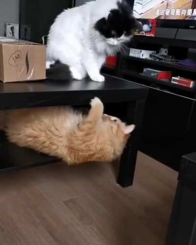 Love & Hate Relationship