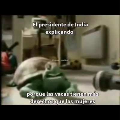 donatello retirado