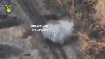 Ukrainian kamikaze drone hits group of Russian infantry, November 2023. Location unknown