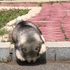 Oh.... I'm stuck.... Malfunction
