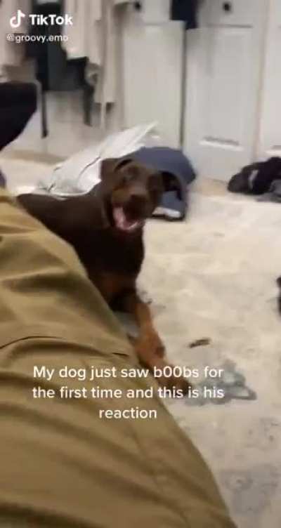 Seeing boobs for the first time