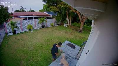Playing with the dog