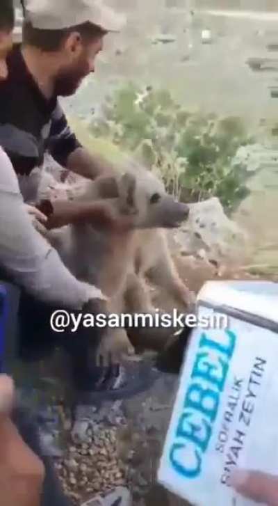 .....