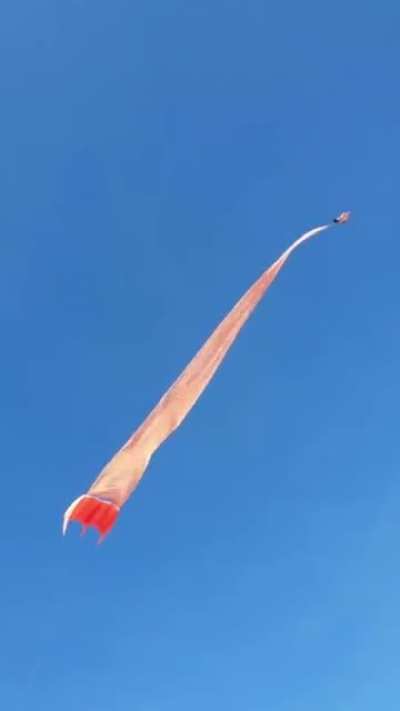 WCGW being standing by near a huge kite