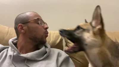 A vicious attack