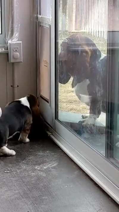 Help! Can't get out