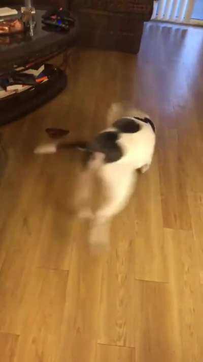Keepc<wbr>almke<wbr>epcal<wbr>mkeep<wbr>calm