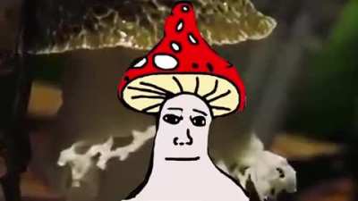 Shrigma