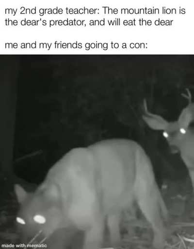 Besties_irl