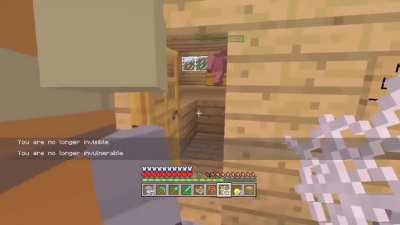 There’s nothing better than good old Minecraft trolling videos.