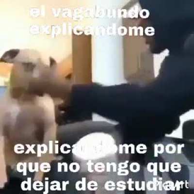 Título