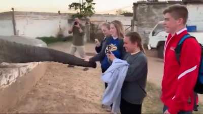 A visit to the zoo