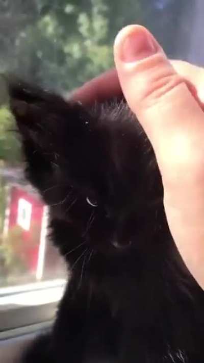 Чертёнок