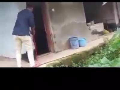 How not to rescue a snake...