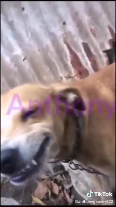 El pana Saaanca😎😎