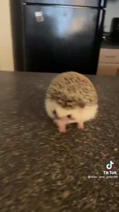Just wait for the end and hope this hasn't been posted before.
