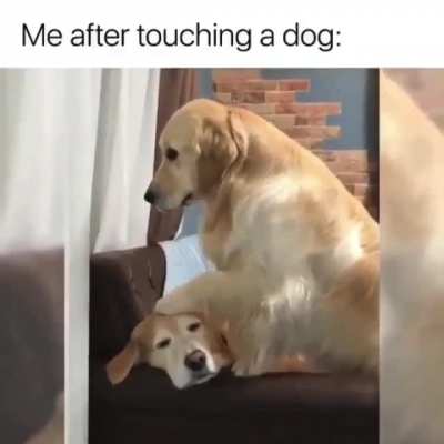 Instant happiness