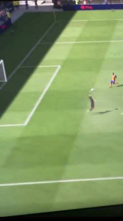 Choupo motings son