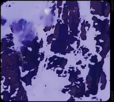 wild cat chase down snowy cliffs