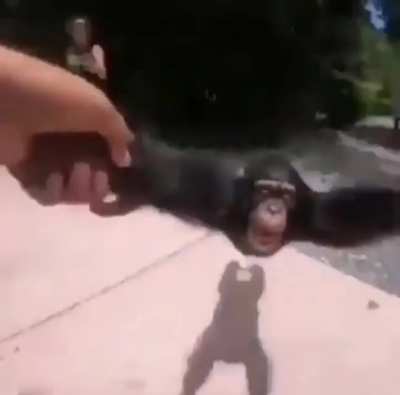 Hace rato no se ve esta joya por aca😈🤝