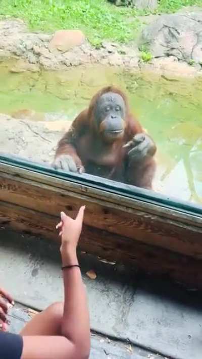 He’s a smart boy, yes he is